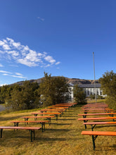 Load image into Gallery viewer, Borð og bekkir