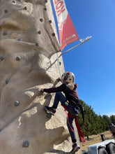 Load image into Gallery viewer, Klifurveggur