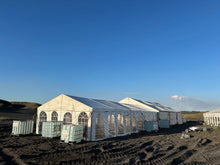 Load image into Gallery viewer, Veislutjald